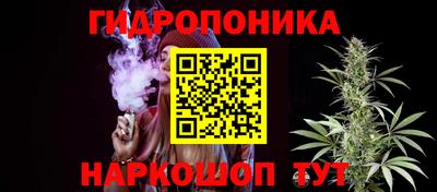 СК Кинель