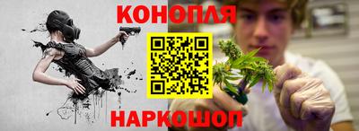 дмт Кимры