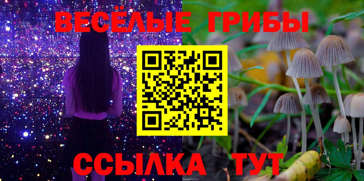 Кубинка  Галлюциногенные грибы Cubensis  Вход с VPN 